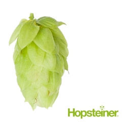 Houblon Saaz - 5 kg en granulés T90