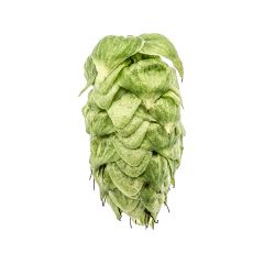 Cryo Hops® pellets Sabro® - 50 g