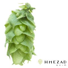 Hopfen Styrian Cardinal - 1 kg Pellets T90