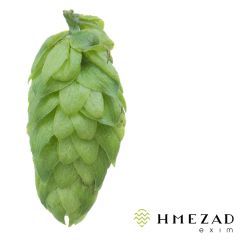 Hopfen Styrian Dragon - 1 kg Pellets T90