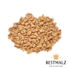 Malz Best Heidelberg Wheat - 25 kg