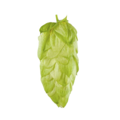 Cryo Hops® granulés Nectaron® - 1 kg