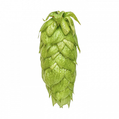 Cryo Hops® granulés Nelson Sauvin™ - 1 kg