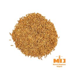 Malt Dingemans Oat - 25 kg