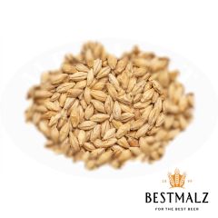 Malt Best Pale Ale BIO - 25 kg