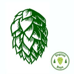 Hopfen Pilgrim - 1 kg Pellets T90