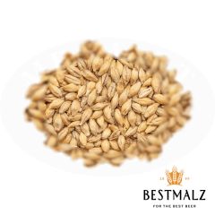 Malt Best Pilsen - 25 kg