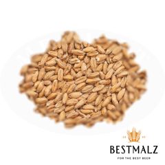 Malt Best Spelt (Épeautre/Dinkel) - 25 kg