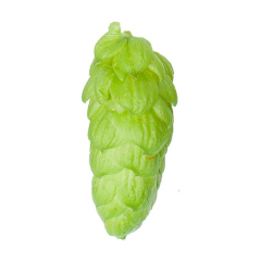 Houblon Target - 250 g en cônes