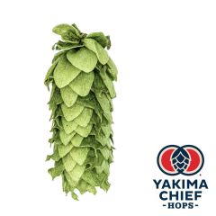 Houblon Yakima Chief Hops® Vista - 5 kg en granulés T90