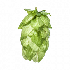 Cryo Hops® granulés Wai-iti™ - 1 kg