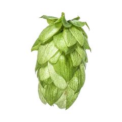 Cryo Hops® granulés Wai-iti™ - 50 g