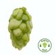 Hopfen Fuggle - 5 kg Dolden