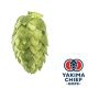 Hopfen Yakima Chief Hops® Amarillo® - 5 kg Dolden