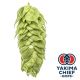 Houblon Yakima Chief Hops® Comet - 5 kg en granulés T90