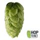 Hopfen Mistral- - 1 kg Pellets T90