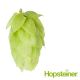Houblon Saaz - 5 kg en granulés T90