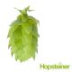Hopfen Spalter Select (Hallertau) - 5 kg Pellets