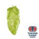Yakima Chief Hops® Cryo Hops® pellets Nectaron® - 5 kg